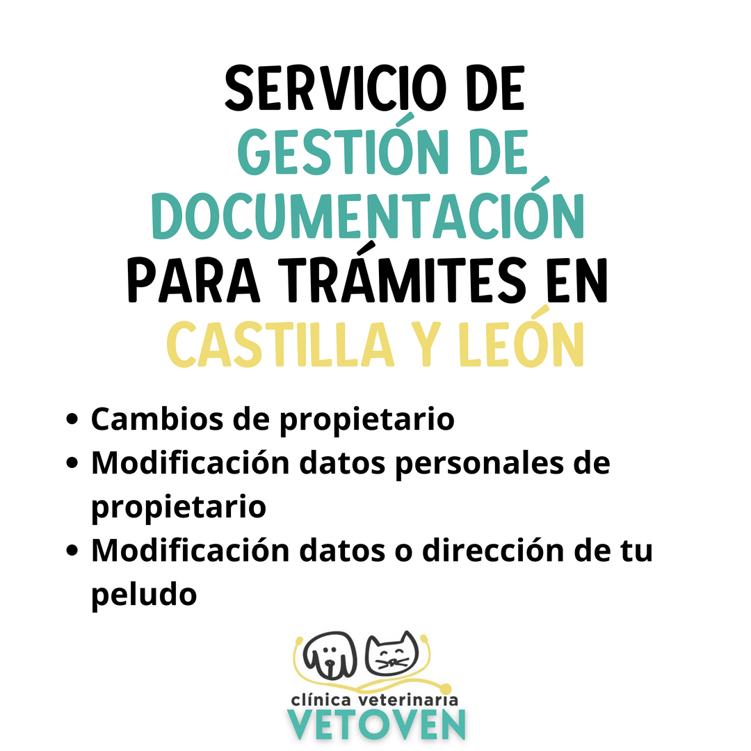 Servicio gestión de Documentación en Siacyl