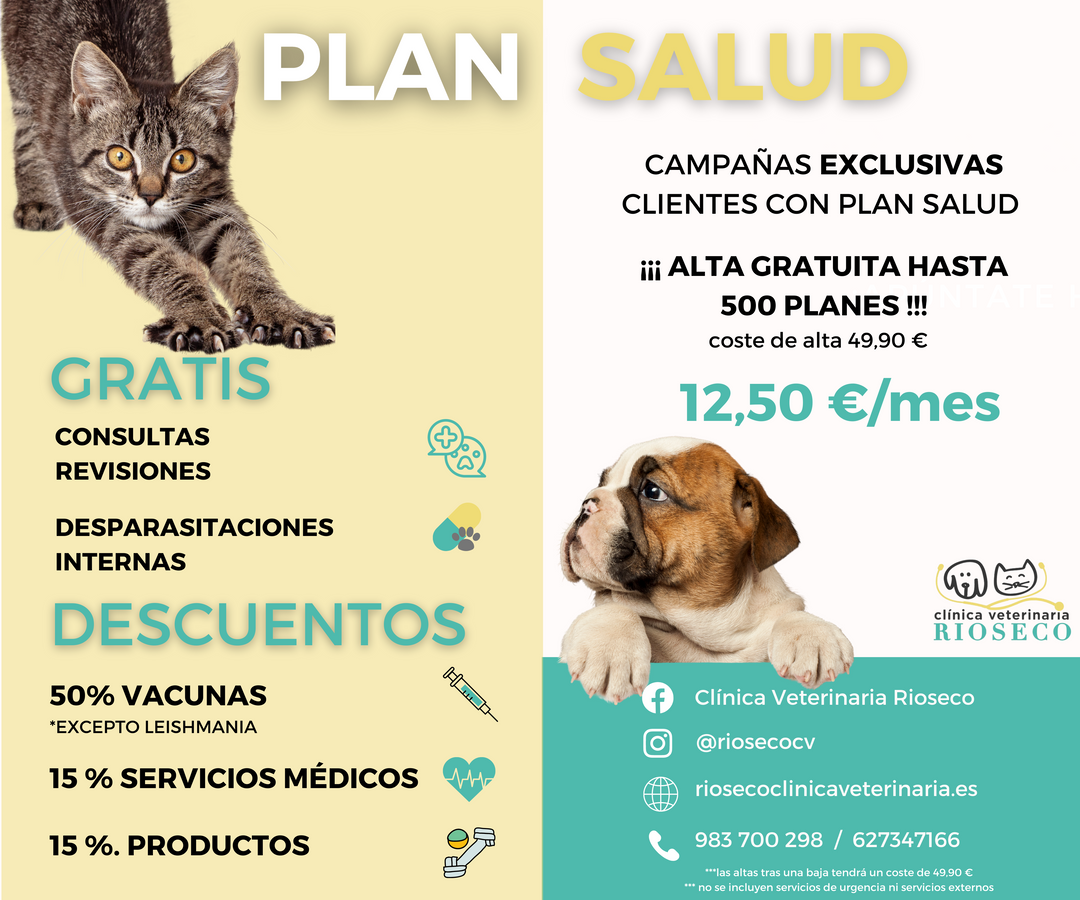 ¿Qué es un plan de salud? y ¿Cómo puede beneficiar a mi peludo?