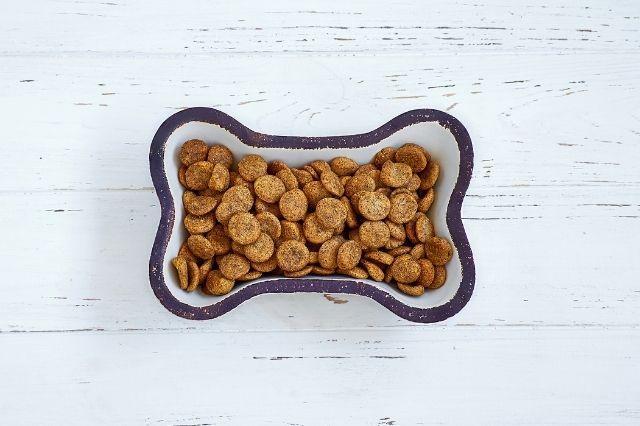 Bravery, el mejor pienso para perros sin cereales