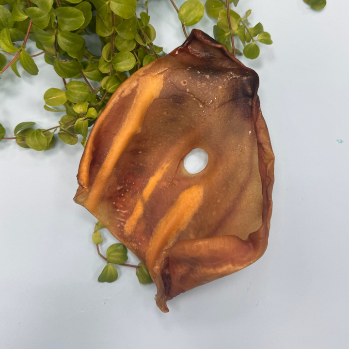 Oreja Desecada Cerdo