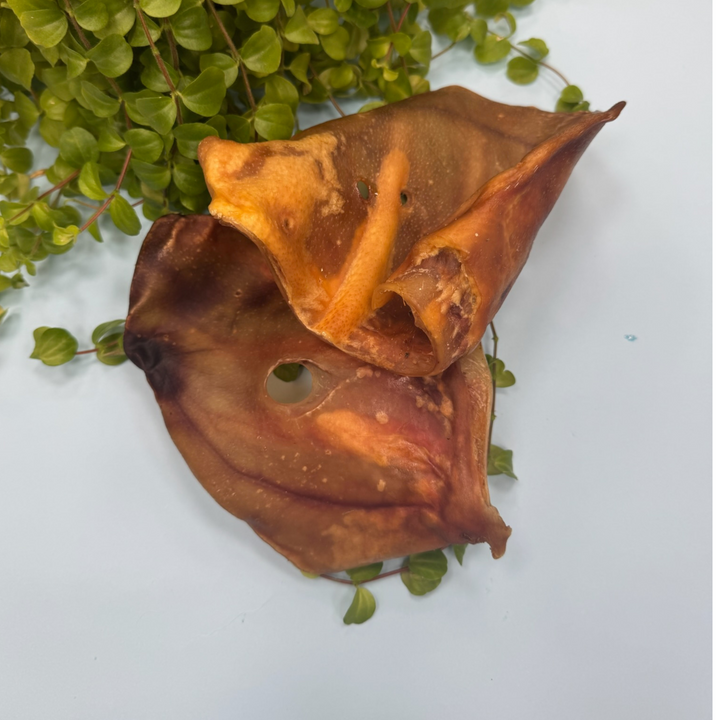 Oreja Desecada Cerdo