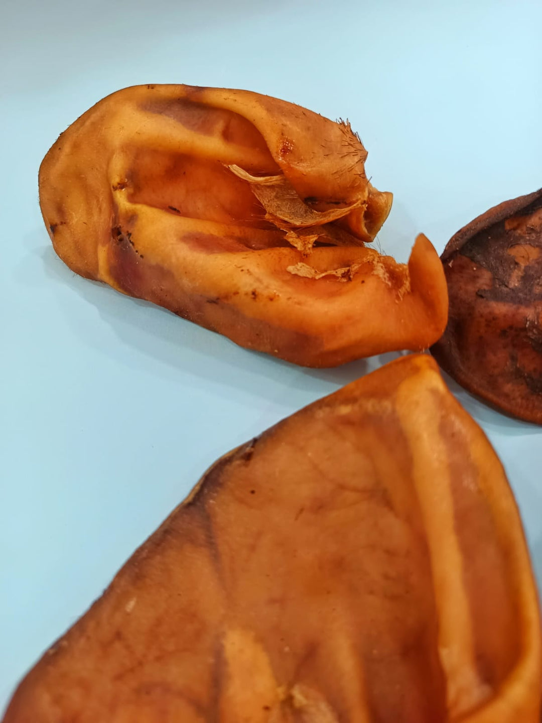 Oreja Desecada Cerdo