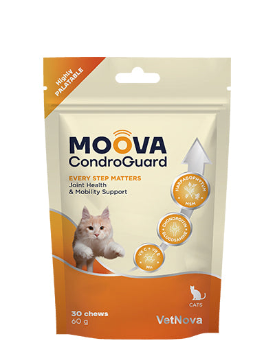 🐾 Moova CondroGuard Chews – Salud y movilidad articular para perros y gatos
