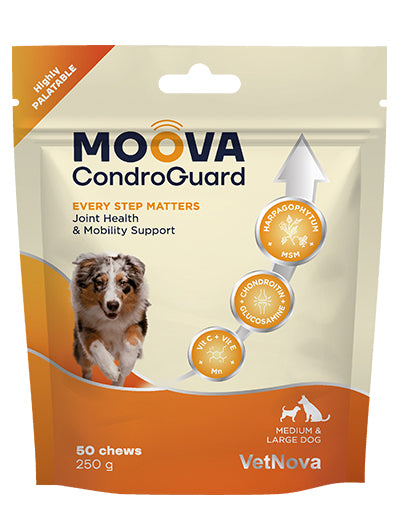 🐾 Moova CondroGuard Chews – Salud y movilidad articular para perros y gatos