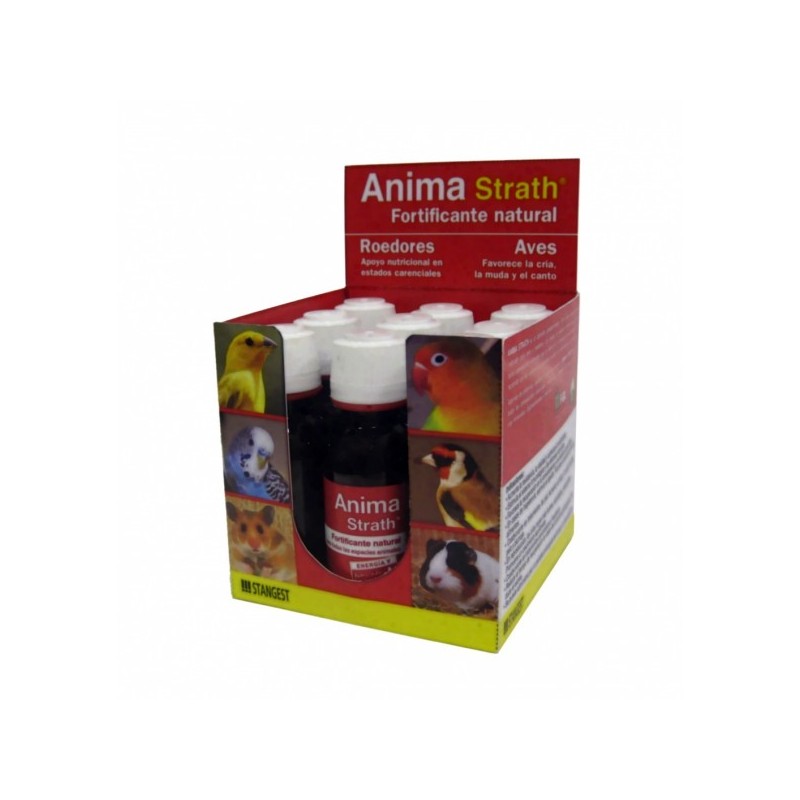 Anima-Strath Jarabe – Suplemento Natural para Vitalidad y Apetito en Mascotas