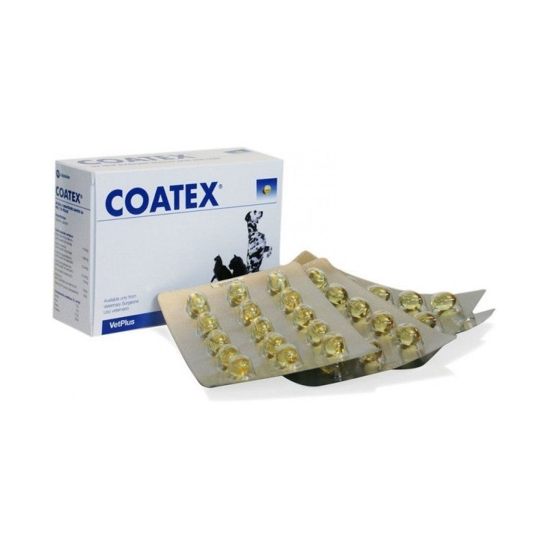 Coatex 240 Cápsulas – Suplemento Dermatológico para Perros y Gatos | VetPlus