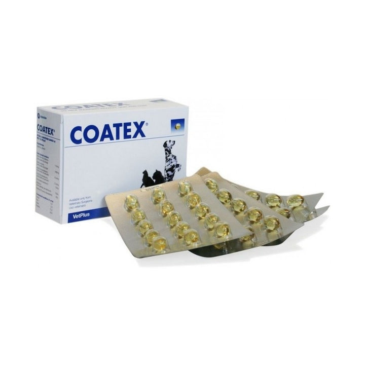 Coatex 240 Cápsulas – Suplemento Dermatológico para Perros y Gatos | VetPlus