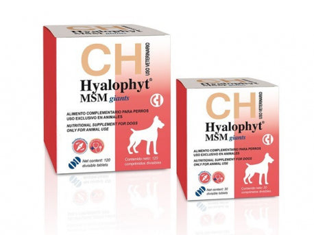Hyalophyt MSM – Condroprotector con Ácido Hialurónico y MSM para Articulaciones