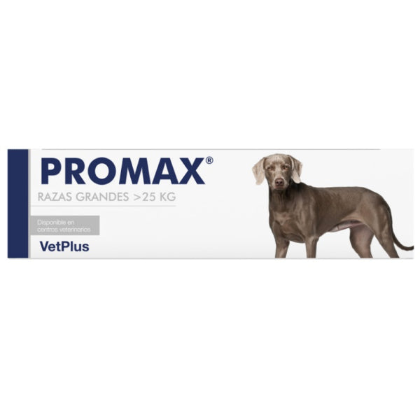 ProMax – Probiótico para Perros y Gatos | VetPlus