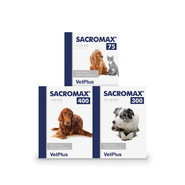 Sacromax – Probiótico Saccharomyces boulardii para Perros y Gatos