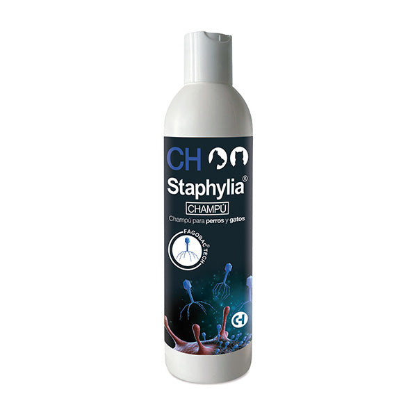 Staphylia Dermo 125 ml – Spray Antiséptico Dermatológico para Perros y Gatos | Chemical Ibérica