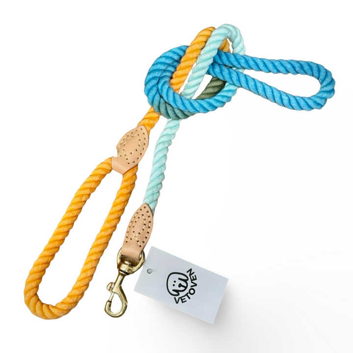 CORREAS DE ALGOÓN ORGANICO