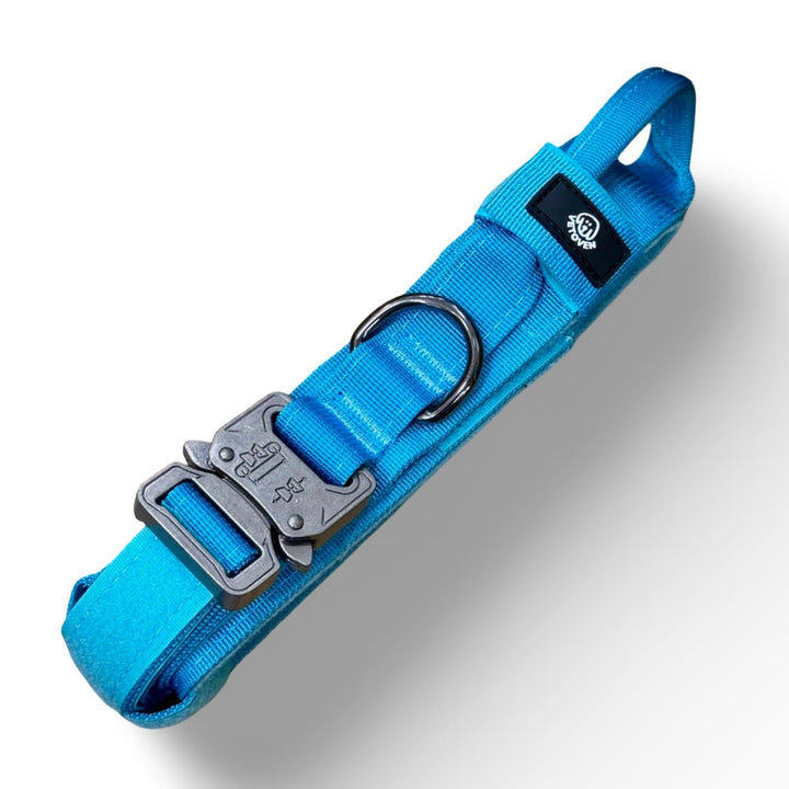 Collar Resistente para Perros de Razas Medianas y Grandes