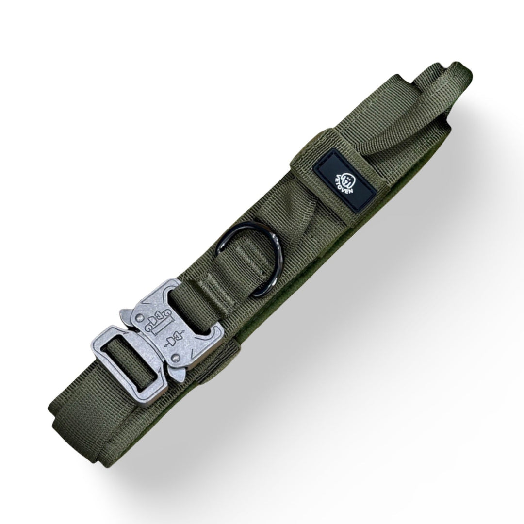 Collar Resistente para Perros de Razas Medianas y Grandes