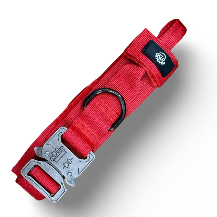 Collar Resistente para Perros de Razas Medianas y Grandes